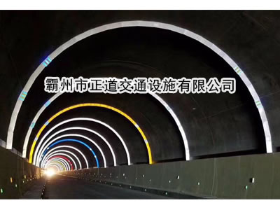 ZD-⻷008